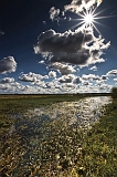 10_04_15-18_biebrza